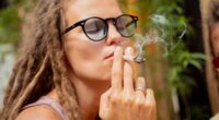 Experts raise alarm over rise of marijuana addiction... as drug becomes more potent