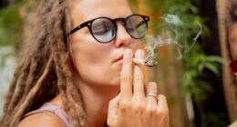 Experts raise alarm over rise of marijuana addiction... as drug becomes more potent