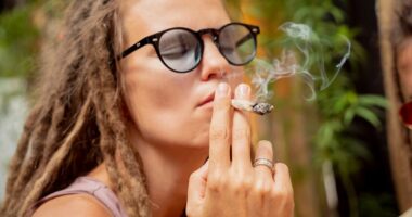 Experts raise alarm over rise of marijuana addiction... as drug becomes more potent