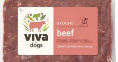 Package of Viva Ground Beef for Dogs.