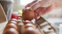 FDA issues urgent recall of eggs contaminated with deadly bacteria