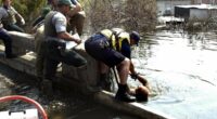 FEMA workers placed on leave after new Hurricane Katrina warning