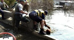 FEMA workers placed on leave after new Hurricane Katrina warning