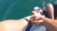 FWC rescues man clinging to kayak with head barely above water: 'You're one lucky S.O.B.'