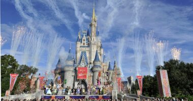 Families priced out of Disney World seek cheaper alternatives