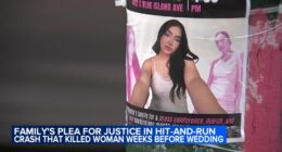 Family demands justice in Pilsen, Chicago hit-and-run crash that killed Marcela Herrera, injured fiancé near Ashland and Cullerton