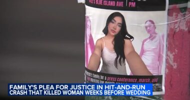 Family demands justice in Pilsen, Chicago hit-and-run crash that killed Marcela Herrera, injured fiancé near Ashland and Cullerton