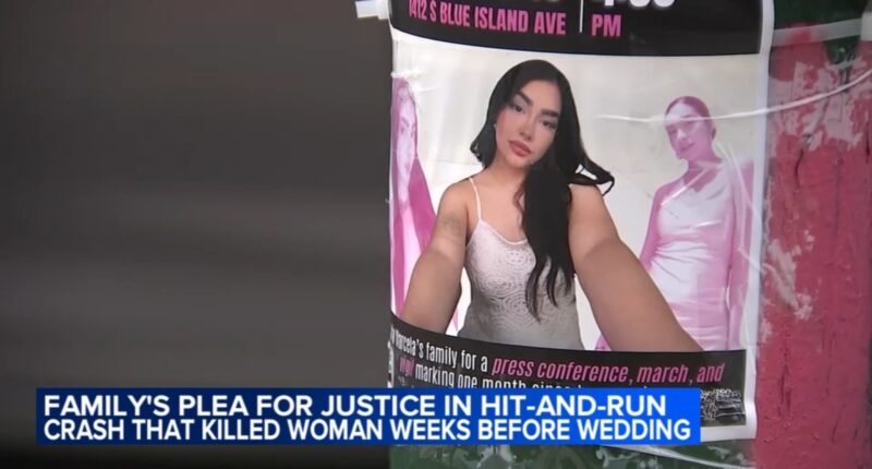 Family demands justice in Pilsen, Chicago hit-and-run crash that killed Marcela Herrera, injured fiancé near Ashland and Cullerton