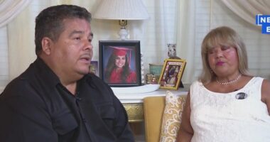 Family of slain Chicago woman asks Trump to invest in city