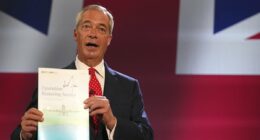 Farage promises unprecedented measures to halt illegal migration
