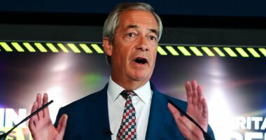 Farage unveils 'mass deportations' - but Tories say it's copying them