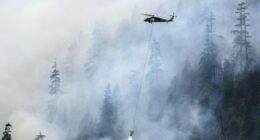 Federal agents arrest fire crew members at Washington wildfire