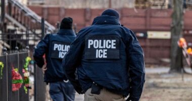 Feds plan to boost immigration enforcement in Chicago next week