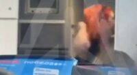 Passenger assaulting a flight attendant on an airplane.
