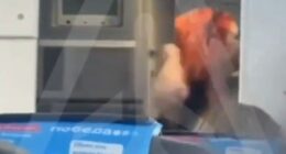 Passenger assaulting a flight attendant on an airplane.