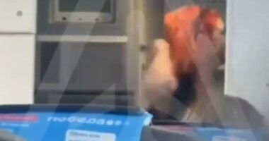 Passenger assaulting a flight attendant on an airplane.