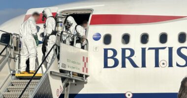 Firefighters board BA flight after passengers and crew 'fell ill'