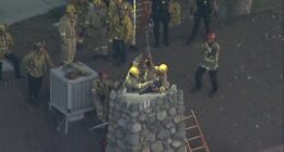 Firefighters rescue woman trapped in small chimney at recreation building in San Fernando, California