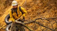Firefighters try to corral California forest blaze as lightning strikes bring risk of new ignitions