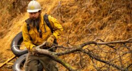 Firefighters try to corral California forest blaze as lightning strikes bring risk of new ignitions