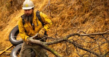 Firefighters try to corral California forest blaze as lightning strikes bring risk of new ignitions
