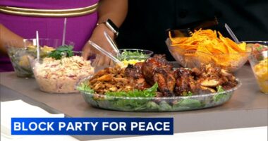 Firehouse Block Party for Peace promotes nonviolence in Lawndale, Chicago