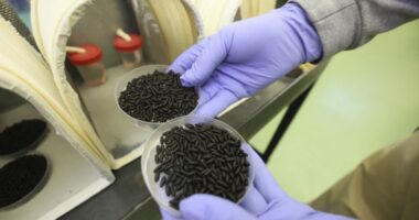 First US human case of flesh-eating parasite confirmed in Maryland