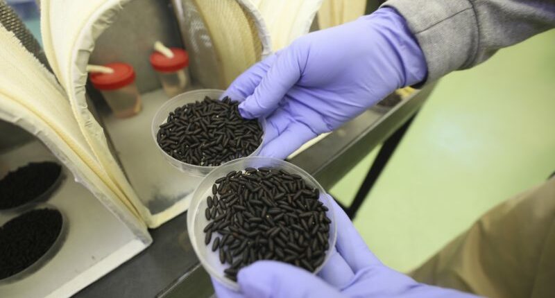 First US human case of flesh-eating parasite confirmed in Maryland