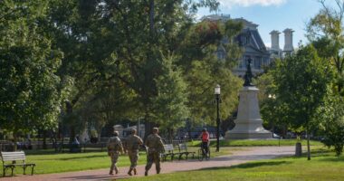Flag burning incident near White House leads to arrest hours after Trump's executive order
