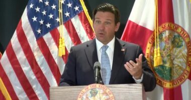 Florida D.O.G.E. to target Pinellas, Hillsborough counties in next audit