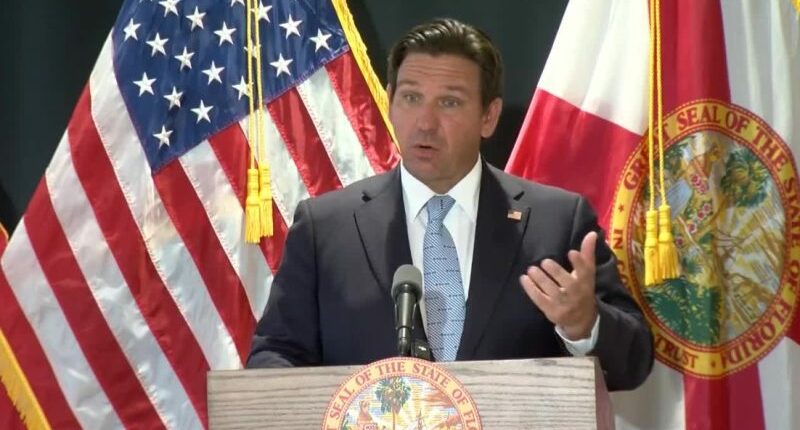 Florida D.O.G.E. to target Pinellas, Hillsborough counties in next audit