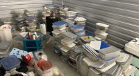 Florida man who abandoned 111 geckos in storage unit pleads guilty to animal cruelty