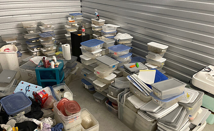 Florida man who abandoned 111 geckos in storage unit pleads guilty to animal cruelty