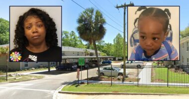 Florida mom allegedly struck baby boy before he drowned