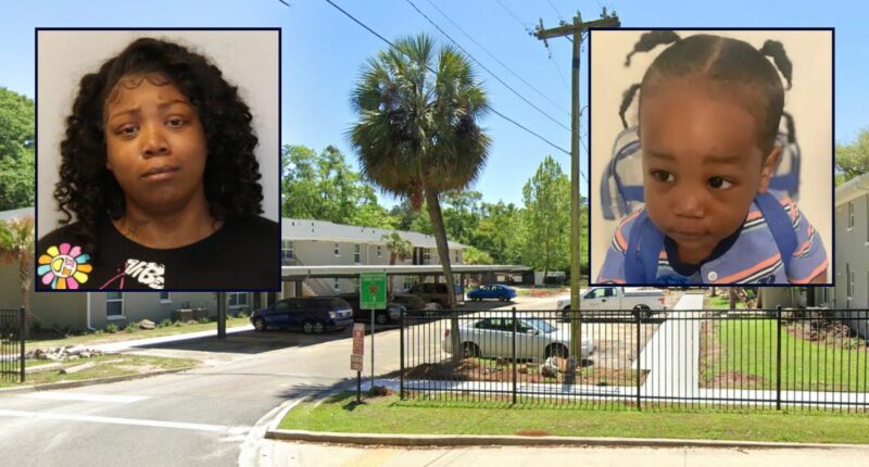 Florida mom allegedly struck baby boy before he drowned