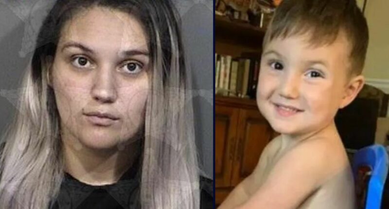 Florida mom blamed 'a duck' for dead son's injuries: Police