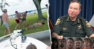 Florida sheriff rips 'reprehensible' lake brawl after 8 arrested