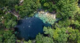 Florida springs threatened by pollution and development