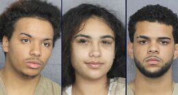 Florida trio allegedly trick woman into surprise beating