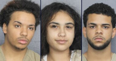 Florida trio allegedly trick woman into surprise beating