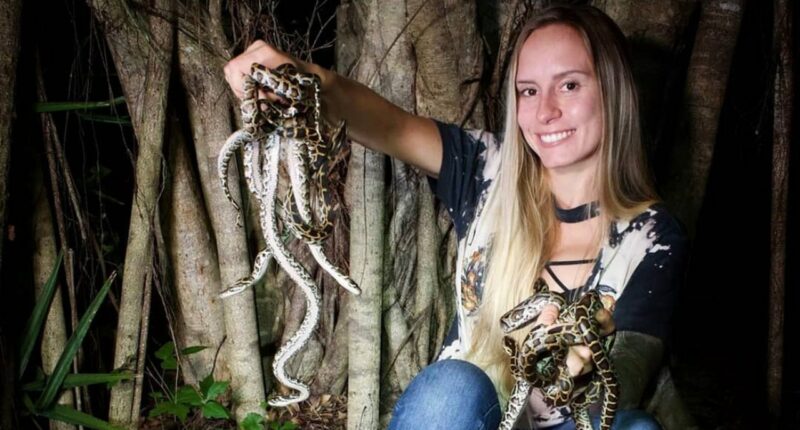 Florida woman wins annual python challenge with record snake haul