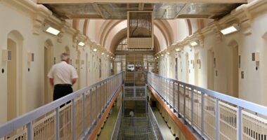 Foreign criminals 'will be deported before they can appeal sentence'