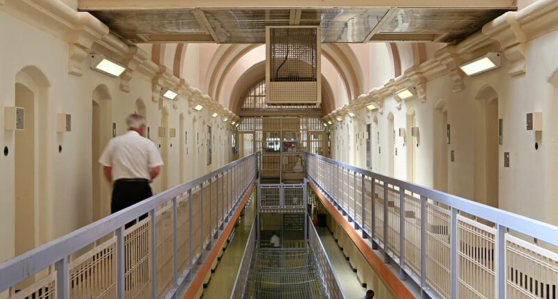 Foreign criminals 'will be deported before they can appeal sentence'