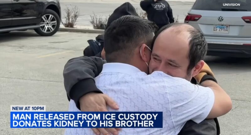 Former ICE detainee José Gregorio González donates kidney to brother in life-saving transplant surgery in Chicago area