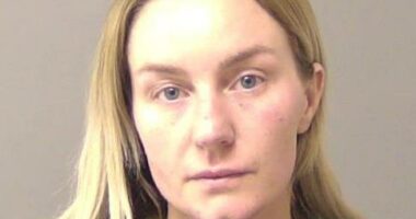 Ally Bardfield pleaded guilty to predatory criminal sexual assault of a child under 13 years of age and grooming