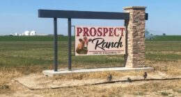 Prospect Ranch sign in Keenesburg, CO.