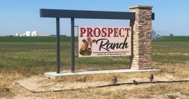 Prospect Ranch sign in Keenesburg, CO.