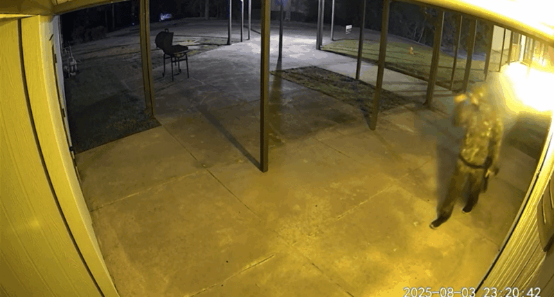 Surveillance video still image of a person in camouflage at night.