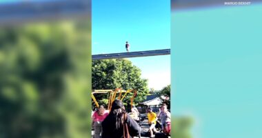 Frightening video shows child on monorail track at Hersheypark