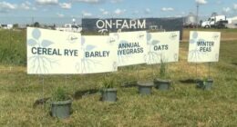 From the Farm: Cover crop demonstrations at the Farm Progress Show